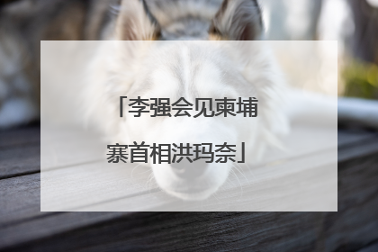 李强会见柬埔寨首相洪玛奈