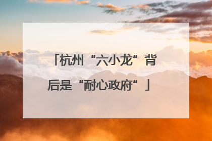 杭州“六小龙”背后是“耐心政府”