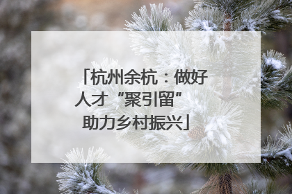 杭州余杭：做好人才“聚引留” 助力乡村振兴