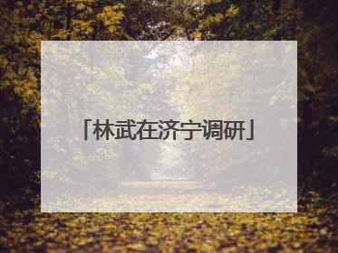 林武在济宁调研