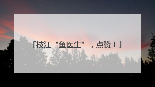 枝江“鱼医生”，点赞！