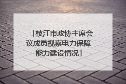 枝江市政协主席会议成员视察电力保障能力建设情况