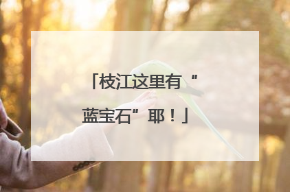 枝江这里有“蓝宝石”耶！