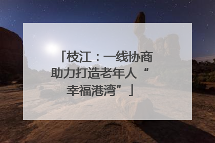 枝江：一线协商助力打造老年人“幸福港湾”