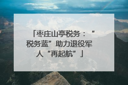 枣庄山亭税务：“税务蓝”助力退役军人“再起航”