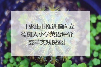枣庄市推进指向立德树人小学英语评价变革实践探索