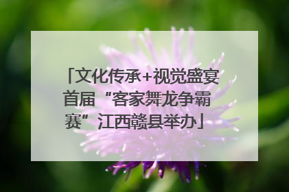 文化传承+视觉盛宴 首届“客家舞龙争霸赛”江西赣县举办
