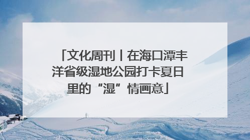 文化周刊丨在海口潭丰洋省级湿地公园打卡夏日里的“湿”情画意