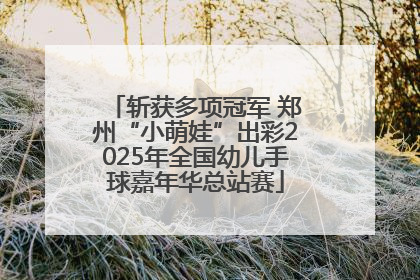 斩获多项冠军 郑州“小萌娃”出彩2025年全国幼儿手球嘉年华总站赛