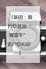 新田：黄竹草养出“致富牛” 农户信心足