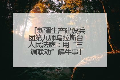 新疆生产建设兵团第九师乌拉斯台人民法庭：用“三调联动”解牛事