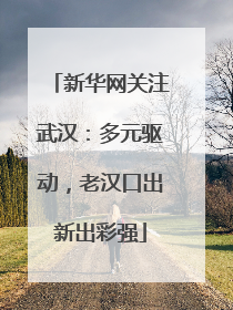 新华网关注武汉:多元驱动,老汉口出新出彩强