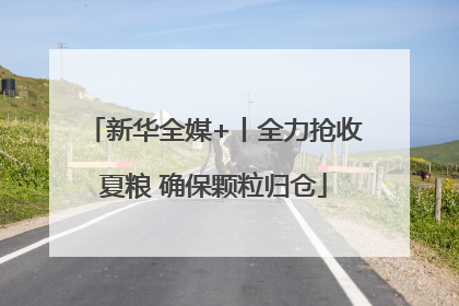 新华全媒+丨全力抢收夏粮 确保颗粒归仓