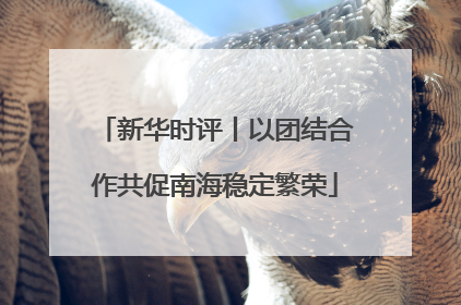 新华时评丨以团结合作共促南海稳定繁荣