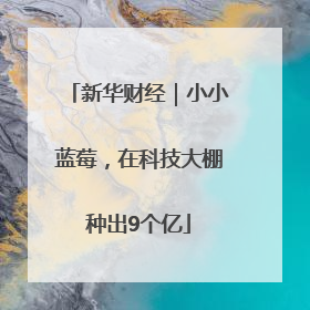 新华财经｜小小蓝莓，在科技大棚种出9个亿