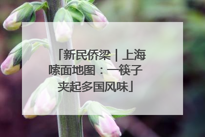 新民侨梁｜上海嗦面地图：一筷子夹起多国风味