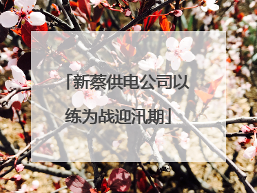 新蔡供电公司以练为战迎汛期