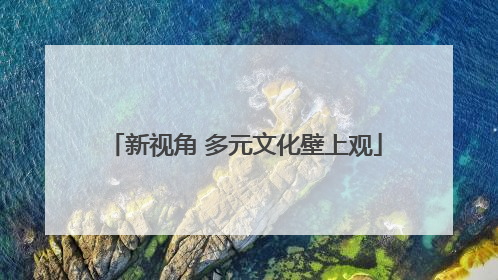 新视角 多元文化壁上观