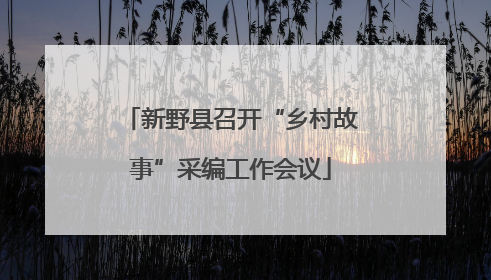 新野县召开“乡村故事”采编工作会议