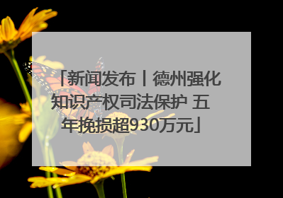 新闻发布丨德州强化知识产权司法保护 五年挽损超930万元