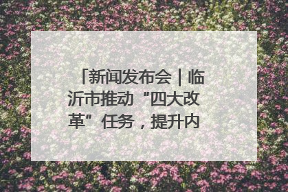 新闻发布会｜临沂市推动“四大改革”任务，提升内部审计监督效能
