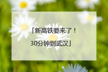新高铁要来了！30分钟到武汉