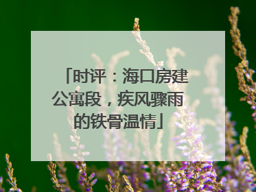 时评：海口房建公寓段，疾风骤雨的铁骨温情