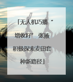 无人机巧播“增收籽” 张掖积极探索麦田套种新路径