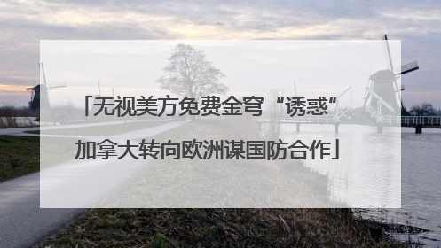 无视美方免费金穹“诱惑” 加拿大转向欧洲谋国防合作