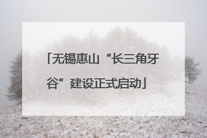 无锡惠山“长三角牙谷”建设正式启动