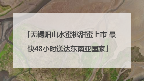 无锡阳山水蜜桃甜蜜上市 最快48小时送达东南亚国家