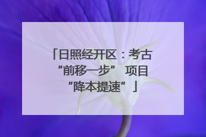日照经开区：考古“前移一步” 项目“降本提速”