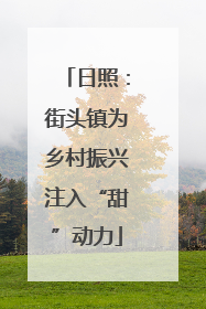 日照：街头镇为乡村振兴注入“甜”动力
