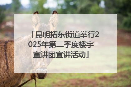 昆明拓东街道举行2025年第二季度楼宇宣讲团宣讲活动