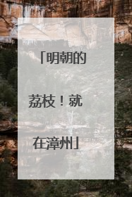 明朝的荔枝！就在漳州