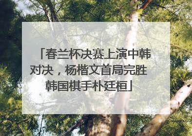 春兰杯决赛上演中韩对决，杨楷文首局完胜韩国棋手朴廷桓