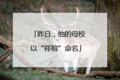 昨日，他的母校以“祥榕”命名