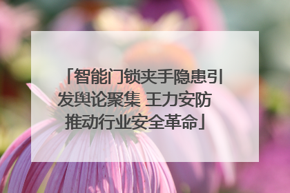智能门锁夹手隐患引发舆论聚集 王力安防推动行业安全革命