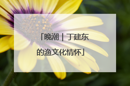 晚潮｜丁建东的渔文化情怀