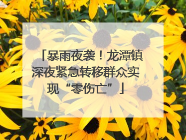 暴雨夜袭！龙潭镇深夜紧急转移群众实现“零伤亡”