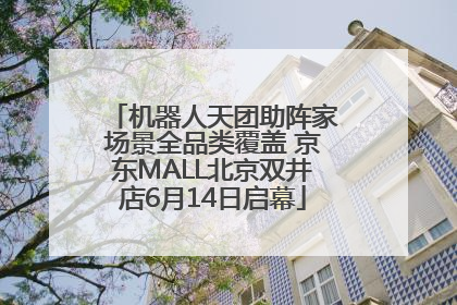机器人天团助阵家场景全品类覆盖 京东MALL北京双井店6月14日启幕