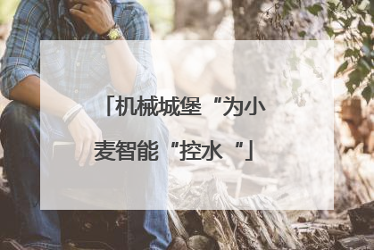 机械城堡“为小麦智能“控水“