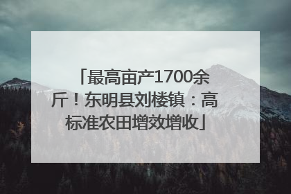 最高亩产1700余斤！东明县刘楼镇：高标准农田增效增收