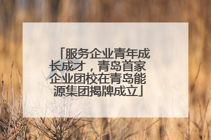 服务企业青年成长成才，青岛首家企业团校在青岛能源集团揭牌成立
