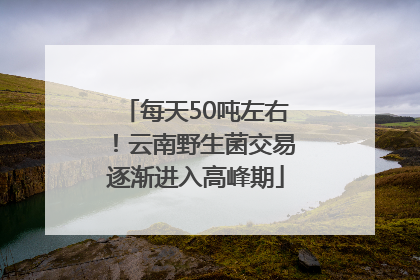 每天50吨左右！云南野生菌交易逐渐进入高峰期