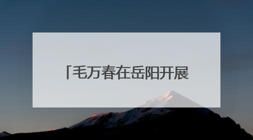 毛万春在岳阳开展专题调研 持续助推文科旅融合发展
