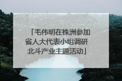 毛伟明在株洲参加省人大代表小组调研北斗产业主题活动