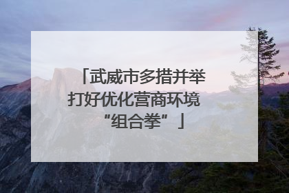 武威市多措并举打好优化营商环境“组合拳”
