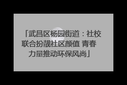 武昌区杨园街道：社校联合扮靓社区颜值 青春力量推动环保风尚