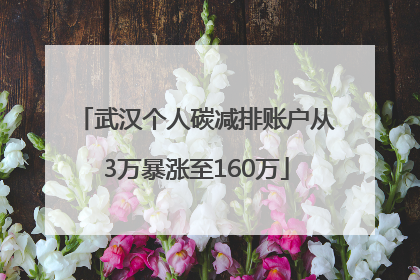 武汉个人碳减排账户从3万暴涨至160万